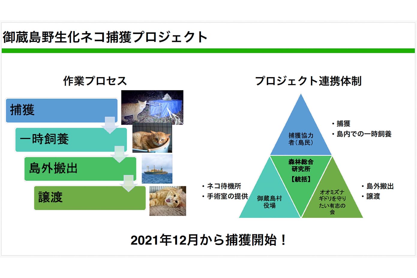 プロジェクト連携体制