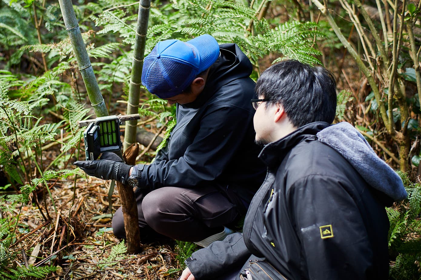 カメラのチェック