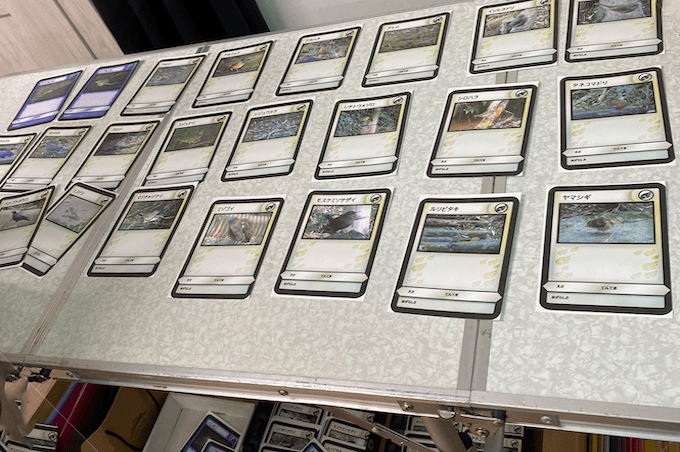 情報が書かれていないカード