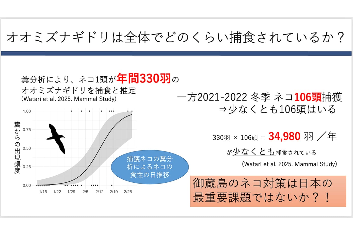 オオミズナギドリへの影響