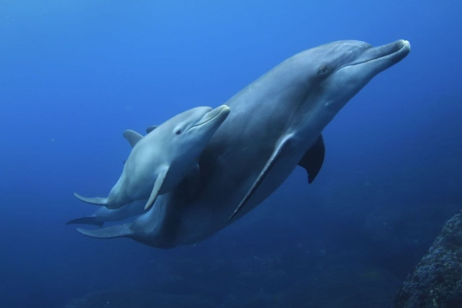 はたらく人のメッセージ