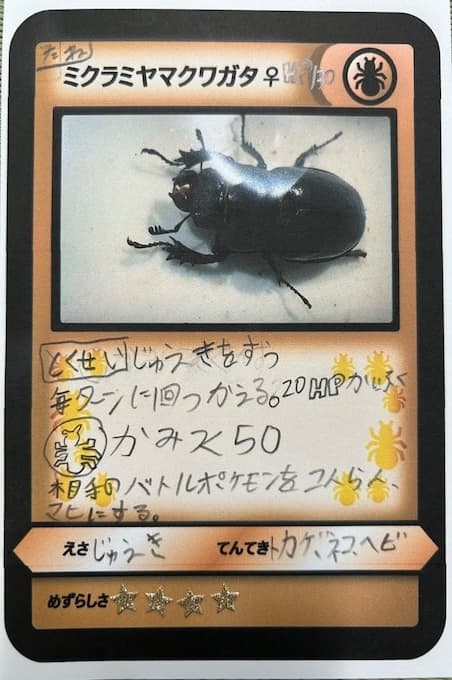 完成カード