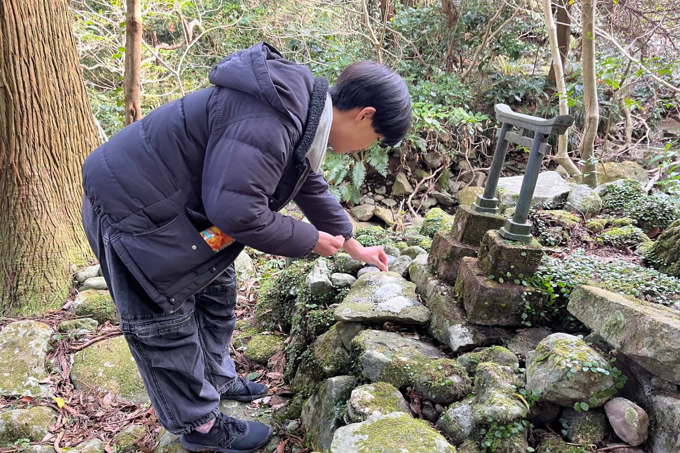 御蔵島 みくら島