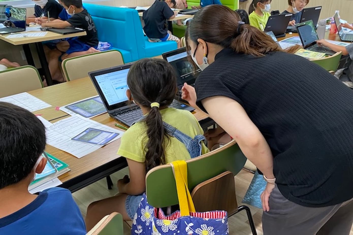 パソコンで生き物調べ