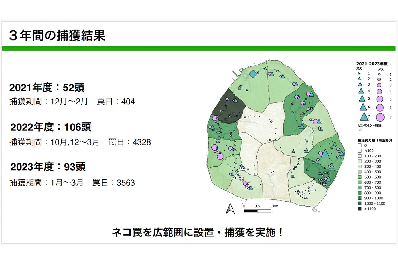 3年間の捕獲結果