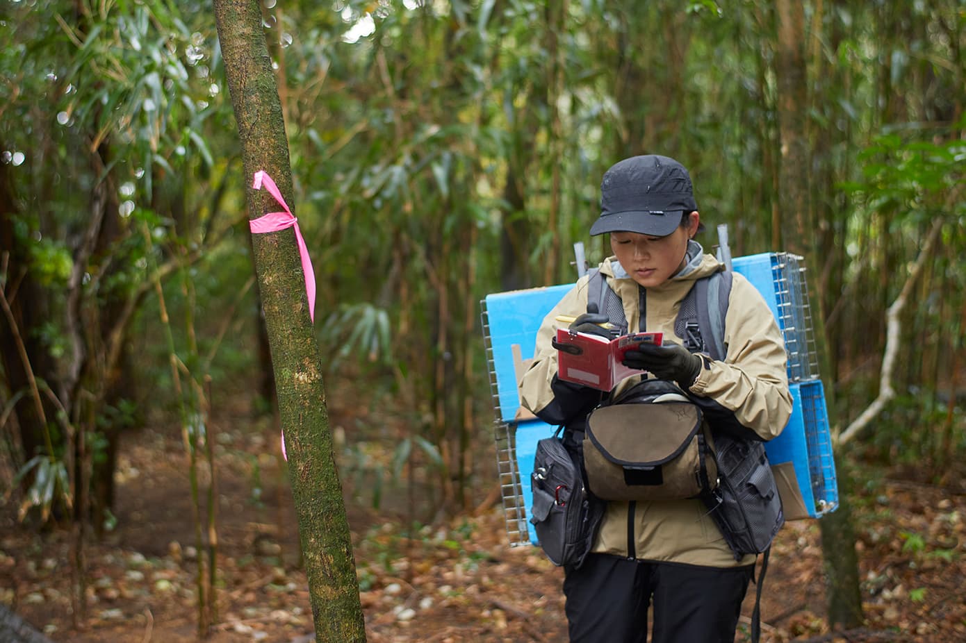 野瀬さんメイン