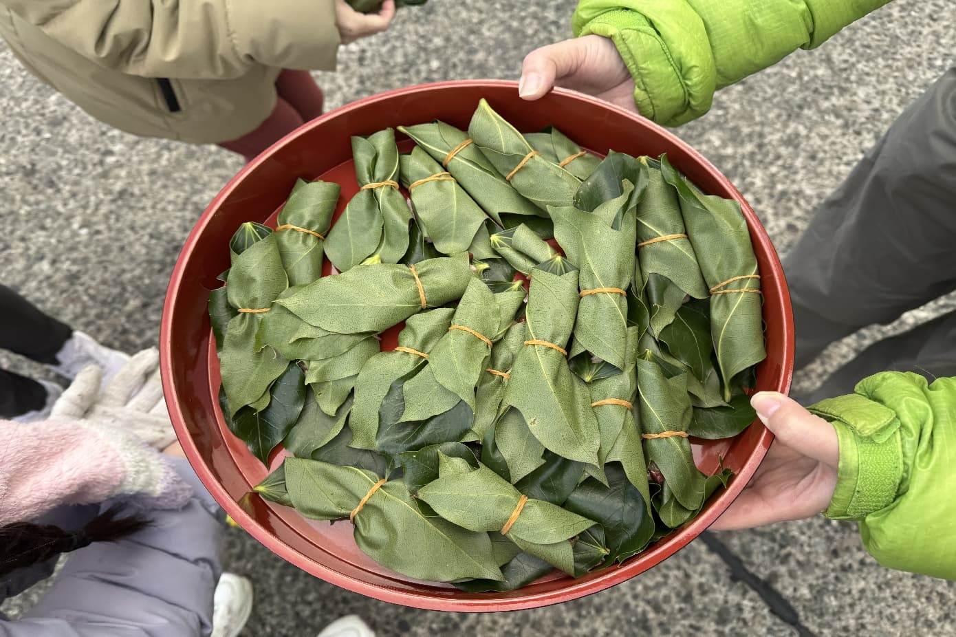 カクレミノ 赤飯