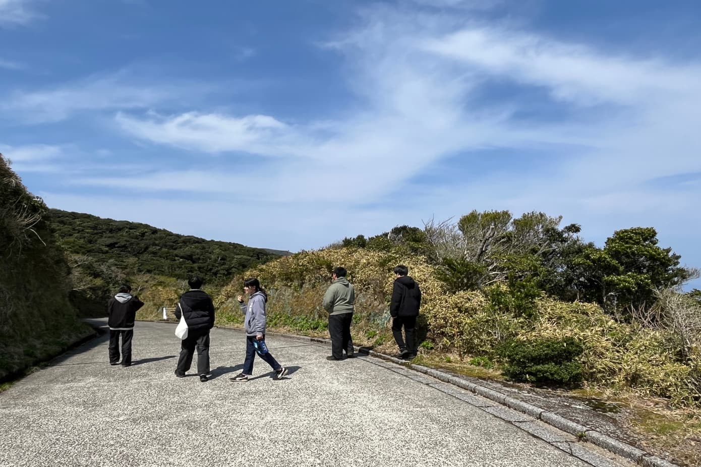 御蔵島 みくら島