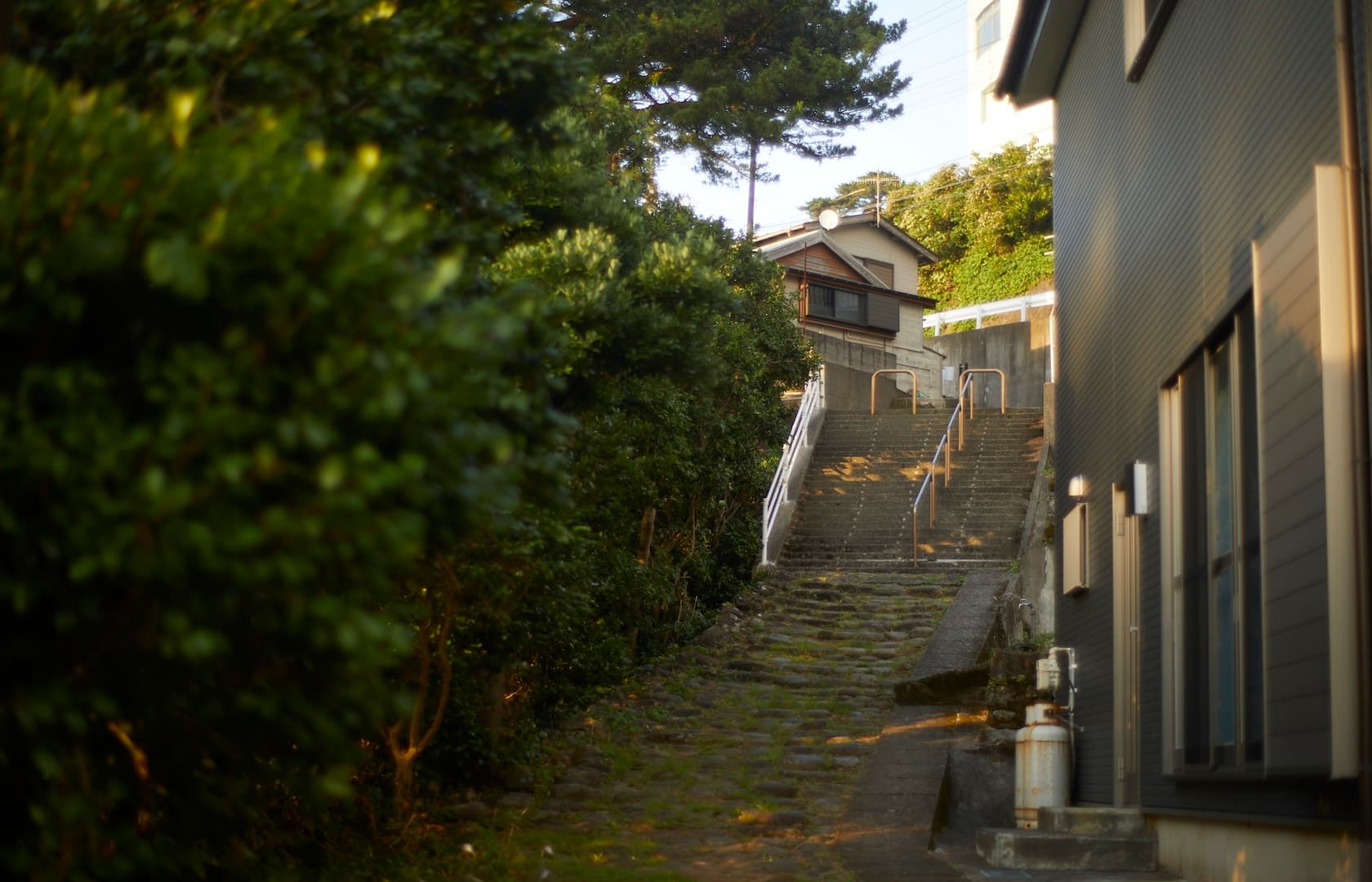 募集要項